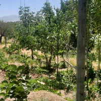 اجاره روزانه خانه ویلای باغ در اراک|اجارهٔ کوتاهمدت ویلا و باغ|اراک, |دیوار