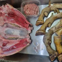 کله پاچه بره|خوردنی و آشامیدنی|قم, چهار مردان|دیوار