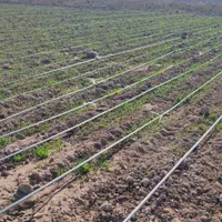 15هکتار زمین کشاورزی ششدانگ با مجوز گلخانه ورامین