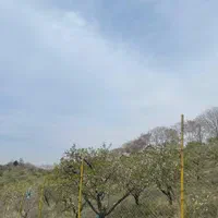 *زمین باغ بدون مشابه ارزنده در دل طبیعت درمهراباد*|فروش زمین و ملک کلنگی|رودهن, |دیوار