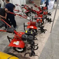 تیلر|خدمات باغبانی و درختکاری|جهرم, |دیوار