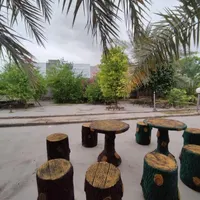 تولد و مهمانی