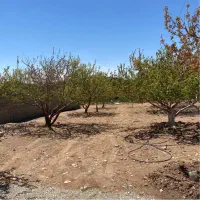 دماوند جابان ۳۰۰ متر باغ سندتکبرگ کنتوربرق+آب چکی|فروش زمین و ملک کلنگی|دماوند, دماوند|دیوار