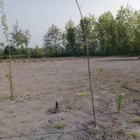 فروش زمین تجاری مسکونی3000متری در محدوده رشت|فروش زمین و ملک کلنگی|رشت, فلسطین|دیوار