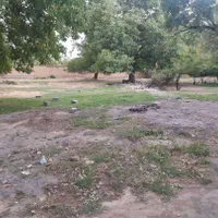 زمین مسکونی|فروش زمین و ملک کلنگی|اصفهان, حسین‌آباد|دیوار