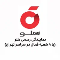 نرم افزار حسابداری هلو(فروشگاهی/شرکتی/تولیدی)|قطعات و لوازم جانبی رایانه|تهران, امین حضور|دیوار