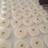 شله زرد دیگچه شیر برنج مجلسی|خوردنی و آشامیدنی|مشهد, فلسطین|دیوار