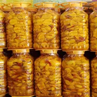 انبه قارچ بیلهر گل سیر گوجه باغی کنار لیمو برگ مو|عمده‌فروشی|شیراز, شهرک ولیعصر|دیوار