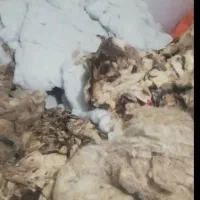 دوخت انواع تشک و بالشت وحلاجی انواع پشم و الیاف