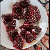 نهال انار دانه سیاه اصل