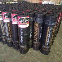 نصب و اجرا ایزوگام دلیجان|خدمات پیشه و مهارت|اندیمشک, |دیوار