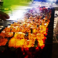 غذای دامون طباخی دامون