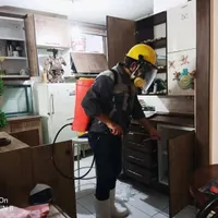 موریانه زدایی سمپاشی سوسک ساس سم پاشی عقرب موش|خدمات نظافت|اهواز, کمپلو جنوبی|دیوار