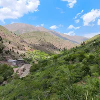 باغچه ۷۰۰ متر لواسان بزرگ قابل ساخت/جورد/وسکاره|فروش زمین و ملک کلنگی|لواسان, |دیوار