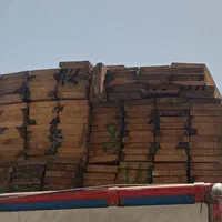 ساسنا چوب خرمشهر تخته بنایی  وداربست|مصالح و تجهیزات ساختمان|خرمشهر, |دیوار