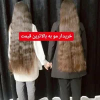 مو طبیعی بانوان و رنگی مرکز مو