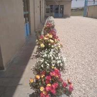 قالیشویی منظم|خدمات نظافت|همدان, |دیوار