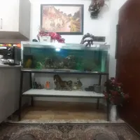 آکواریوم