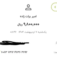 امیر برات زاده|فعالیت داوطلبانه|بم, |دیوار