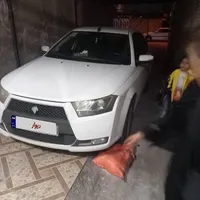 دنا معمولی تیپ ۲، مدل ۱۳۹۶
