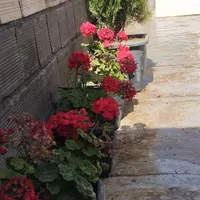 فروش آپارتمان ۹۰ متری ۲ خوابه طبقه ۱ در نبوی منش|فروش آپارتمان|اصفهان, کارلادان|دیوار