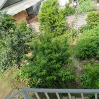 اجاره کوتاه مدت|اجارهٔ کوتاه‌مدت ویلا و باغ|چمستان, |دیوار