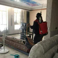 موریانه زدایی وسمپاشی اصولی باضمانت کتبی عدم برگشت