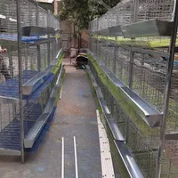 انواع قفس مرغ و بلدرچین|حراج|رامسر, |دیوار