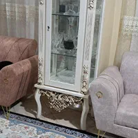 ویترین استخوانی پشت ایینه