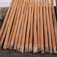 خریدار چوب کنده درخت ریشه چوب سقفی و،