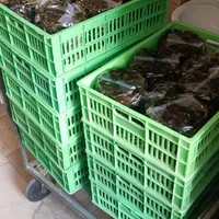 کشمش چرخ شده،خرمابدون هسته،ضایعات خرمامخصوص آبگیری|خوردنی و آشامیدنی|کرج, دهقان ویلا|دیوار