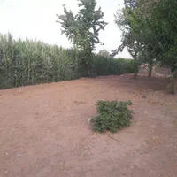 ده هزار زمین بر اتوبان اصلی|فروش دفتر صنعتی، کشاورزی، تجاری|باقرشهر, |دیوار