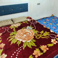 اجاره ویلای دوخواب ویلا جنگلی گیلان شمال ماسال رشت|اجارهٔ کوتاه‌مدت ویلا و باغ|ماسال, |دیوار