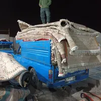 کارخانه قالیشویی در تهران سرویس سراسر تهران|خدمات نظافت|تهران, خلیج فارس|دیوار