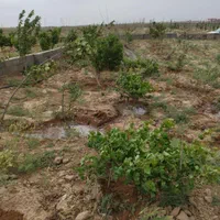 زمین نجم آباد