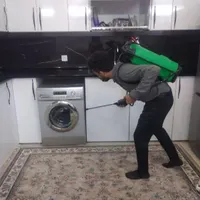 شرکت سمپاشی تضمینی سوسک کابینتی،کنه،ریشمیز،ساس