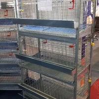 انواع قفس مرغ و بلدرچین|حراج|رامسر, |دیوار