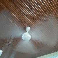 پنکه سقفی ،چند لنگه در با چوب نراد|پنکه و تصفیه‌کنندهٔ هوا|لنگرود, |دیوار