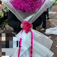 دسته گل بزرگ یک متری عروس ژیپسوفیلا|گل و گیاه طبیعی|اصفهان, دشتستان|دیوار