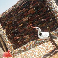 سیمانبری  ساخت استخر باربیکیو ابنما نما محوطهسازی