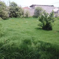 زمین۱۹۰متری خ عرفان فاز۲گلسار|فروش زمین و ملک کلنگی|رشت, بالاکویه|دیوار