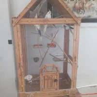 قفس پرنده