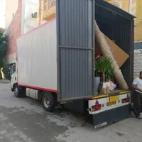 حمل و جابجایی اسباب واثاثیه کشی  تخلیه بار منزل|خدمات حمل و نقل|بوشهر, |دیوار