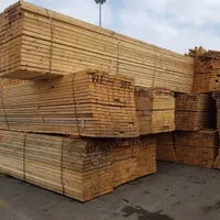 اندازه الوار بنایی تخته قالب بندی دفنی