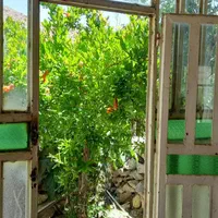اجاره منزل سوییت خانه در روستای بومگردی دشتک|اجارهٔ کوتاه‌مدت ویلا و باغ|صدرا-فارس, |دیوار