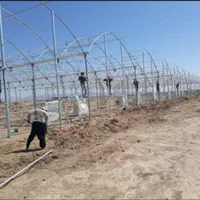 ۱تا۱۰۰۰۰۰متر گلخانه|گل و گیاه طبیعی|شهرضا, |دیوار