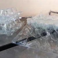 بسته بندی تخم بلدرچین *پک بهداشتی*