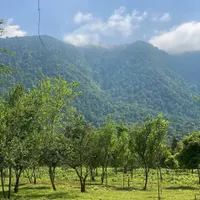 کلبه جنگلی مهندسی/2000مترزمین با ۳کنتور اختصاصی|فروش خانه و ویلا|آلاشت, |دیوار