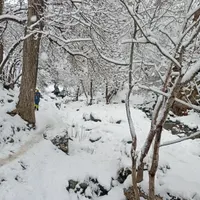 تهران گردی،کوهنوردی،،مکان های دیدنی تهران|تور و چارتر|تهران, درکه|دیوار
