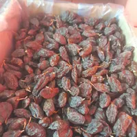 کشمش و دوشاب(شیره انگور ) کشمش مخصوص آبگیری|خوردنی و آشامیدنی|لاهیجان, کوی آزادگان|دیوار